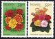 (image for) 2004 Summer Flowers