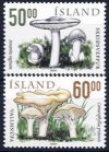 (image for) 2004 Fungi