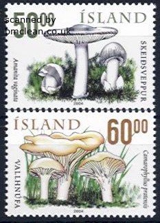 (image for) 2004 Fungi