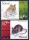 (image for) 2005 Mice