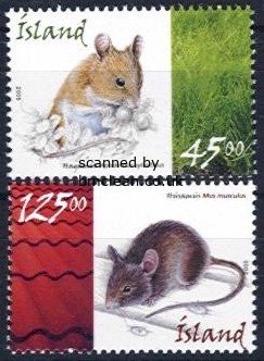 (image for) 2005 Mice