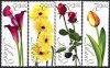 (image for) 2005 Greetings Stamps - Flowers