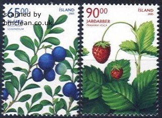 (image for) 2005 Wild Berries