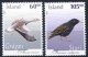(image for) 2005 Birds
