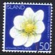 (image for) 2006 National Flower