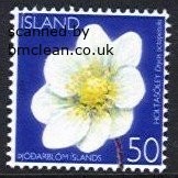 (image for) 2006 National Flower