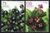 (image for) 2006 Wild Berries