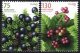 (image for) 2006 Wild Berries