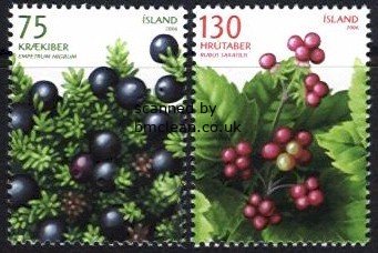 (image for) 2006 Wild Berries