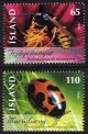 (image for) 2006 Insects