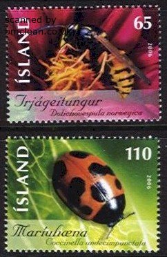 (image for) 2006 Insects