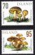 (image for) 2006 Wild Mushrooms