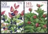 (image for) 2007 Wild Berries