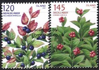 (image for) 2007 Wild Berries