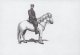 (image for) 2007 King Frederick VIII (Black Print)
