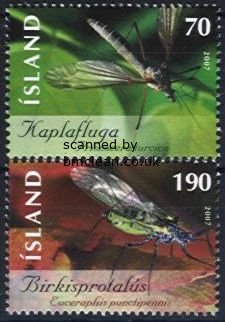 (image for) 2007 Insects - Cranefly