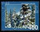 (image for) 2008 Forestry
