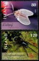(image for) 2009 Insects & Spiders