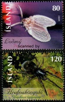 (image for) 2009 Insects & Spiders