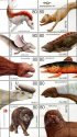(image for) 2009 Legendary Creatures