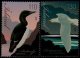 (image for) 2009 Seabirds
