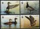 (image for) 2011 WWF Birds