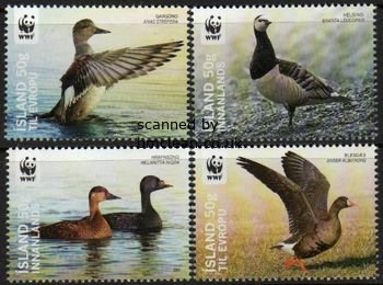 (image for) 2011 WWF Birds