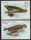 (image for) 2011 Seals