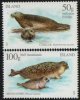 (image for) 2011 Seals