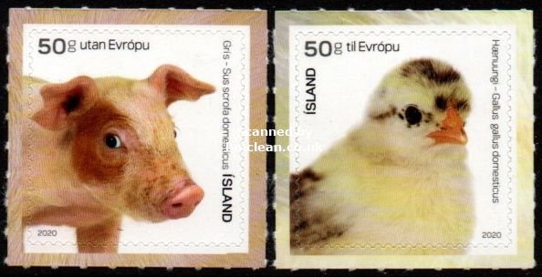 (image for) 2020 Young Animals