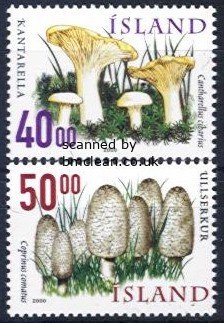 (image for) 2000 Fungi (2nd Series)