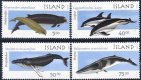 (image for) 2000 Marine Mammals