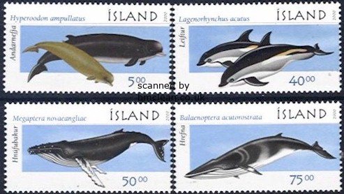 (image for) 2000 Marine Mammals