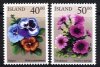 (image for) 2000 Summer Flowers
