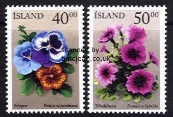 (image for) 2000 Summer Flowers