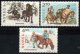 (image for) 1987 Native Ponies