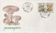 (image for) 1988 Fungi II