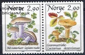 (image for) 1988 Fungi II