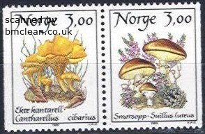 (image for) 1989 Fungi III