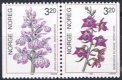 (image for) 1990 Orchids I