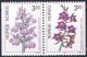 (image for) 1990 Orchids I