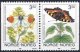(image for) 1993 Butterflies I