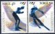 (image for) 1994 Paralympic Games