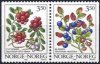 (image for) 1995 Wild Berries I