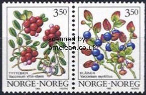 (image for) 1995 Wild Berries I