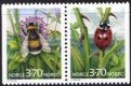 (image for) 1997 Insects I