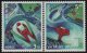(image for) 1997 Skiing Championships