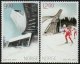 (image for) 2011 Skiing Championships