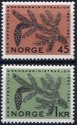 (image for) 1962 Forestry