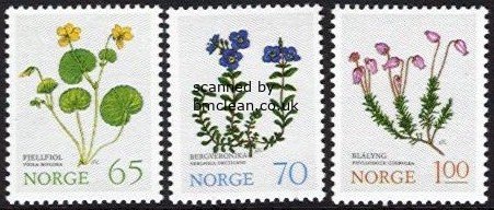 (image for) 1973 Mountain Flowers